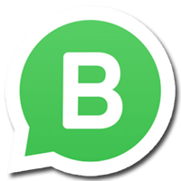 whatsapp business Sefin